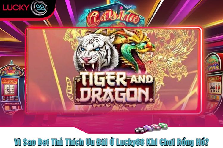 Vì Sao Bet Thủ Thích Ưu Đãi Ở Lucky88 Khi Chơi Rồng Hổ